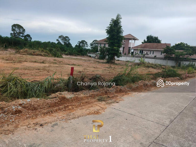 ขาย - ขาย ที่ดินบางเสร่, ชลบุรี