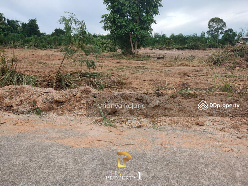 ขาย - ขาย ที่ดินบางเสร่, ชลบุรี