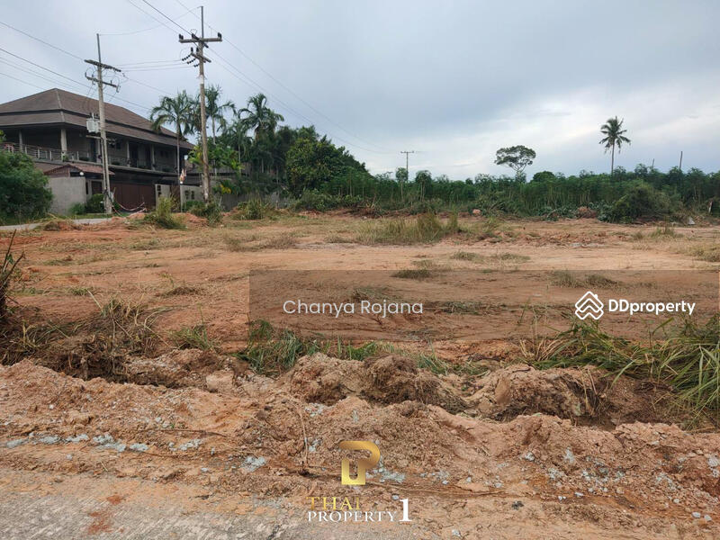 ขาย - ขาย ที่ดินบางเสร่, ชลบุรี