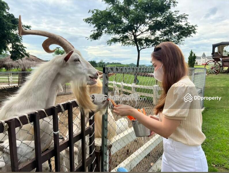 For Sale - Bergh Apton Khao Yai By Nusa My Ozone, Nakhon Ratchasima