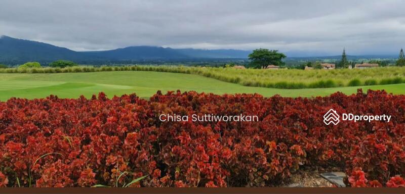 ขาย - Bergh Apton Khao Yai By Nusa My Ozone : เบิร์ช แอ็ฟตัน เขาใหญ่ บาย ณุศา มายโอโซน, นครราชสีมา