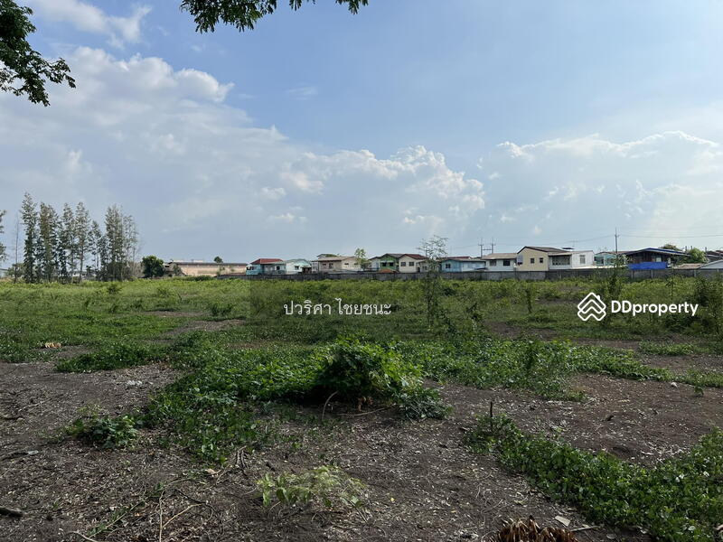 For Sale - ขายที่ดินรังสิต คลอง 2 ปทุมธานี เนื้อที่ทั้งหมด 10 ไร่ เป็นที่เปล่า ถมแล้วทั้งแปลง สีเหลือง, Pathum Thani