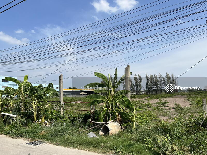 For Sale - ขายที่ดินรังสิต คลอง 2 ปทุมธานี เนื้อที่ทั้งหมด 10 ไร่ เป็นที่เปล่า ถมแล้วทั้งแปลง สีเหลือง, Pathum Thani