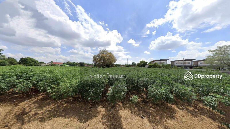 ขาย - ขายที่ดินอำเภอเมืองโคราช ใกล้ วิทยาลัยบริหารธุรกิจ เนื้อทั้ง 9 ไร่ 3 งาน 42.7 ตารางวา, นครราชสีมา