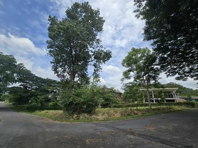 ขาย - ภูภัทรา เขาใหญ่, นครราชสีมา