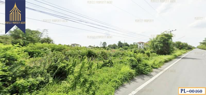 พุทธมณฑล สาย 3, Bangkok, - -, Bang Ra Mat, Taling Chan, Bangkok, , 1,600 sqm, Land For Sale, by ปภัชญา ธนัตถ์ภรณ์, 11631750 - DDproperty.com