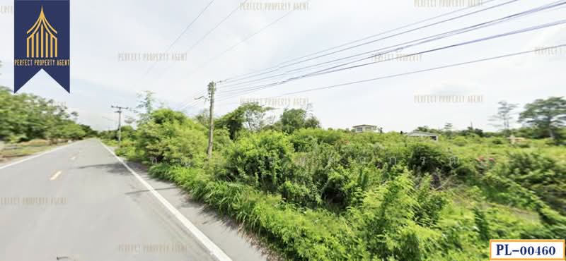 พุทธมณฑล สาย 3, Bangkok, - -, Bang Ra Mat, Taling Chan, Bangkok, , 1,600 sqm, Land For Sale, by ปภัชญา ธนัตถ์ภรณ์, 11631750 - DDproperty.com