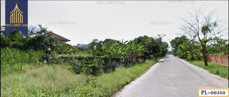 พุทธมณฑล สาย 3, Bangkok, - -, Bang Ra Mat, Taling Chan, Bangkok, , 1,600 sqm, Land For Sale, by ปภัชญา ธนัตถ์ภรณ์, 11631750 - DDproperty.com