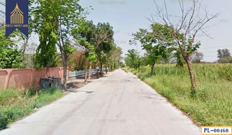 พุทธมณฑล สาย 3, กรุงเทพ, - -, บางระมาด, ตลิ่งชัน, กรุงเทพ, 1,600 ตร.ม., ที่ดิน ขาย, โดย ปภัชญา ธนัตถ์ภรณ์, 11631750 - DDproperty.com