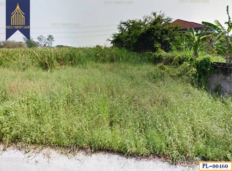 พุทธมณฑล สาย 3, Bangkok, - -, Bang Ra Mat, Taling Chan, Bangkok, , 1,600 sqm, Land For Sale, by ปภัชญา ธนัตถ์ภรณ์, 11631750 - DDproperty.com