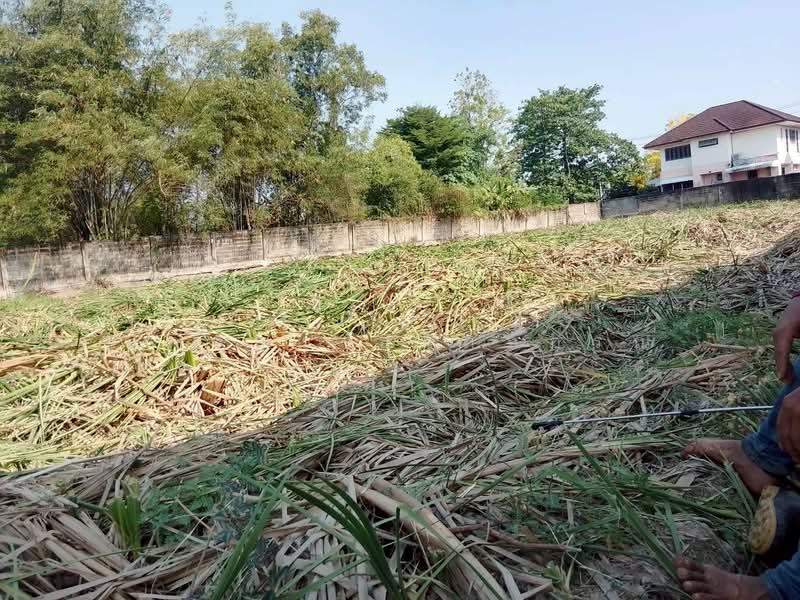 พุทธมณฑล สาย 3, กรุงเทพ, - -, บางระมาด, ตลิ่งชัน, กรุงเทพ, 1,600 ตร.ม., ที่ดิน ขาย, โดย ปภัชญา ธนัตถ์ภรณ์, 11631750 - DDproperty.com