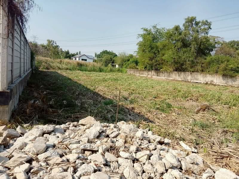 พุทธมณฑล สาย 3, Bangkok, - -, Bang Ra Mat, Taling Chan, Bangkok, , 1,600 sqm, Land For Sale, by ปภัชญา ธนัตถ์ภรณ์, 11631750 - DDproperty.com