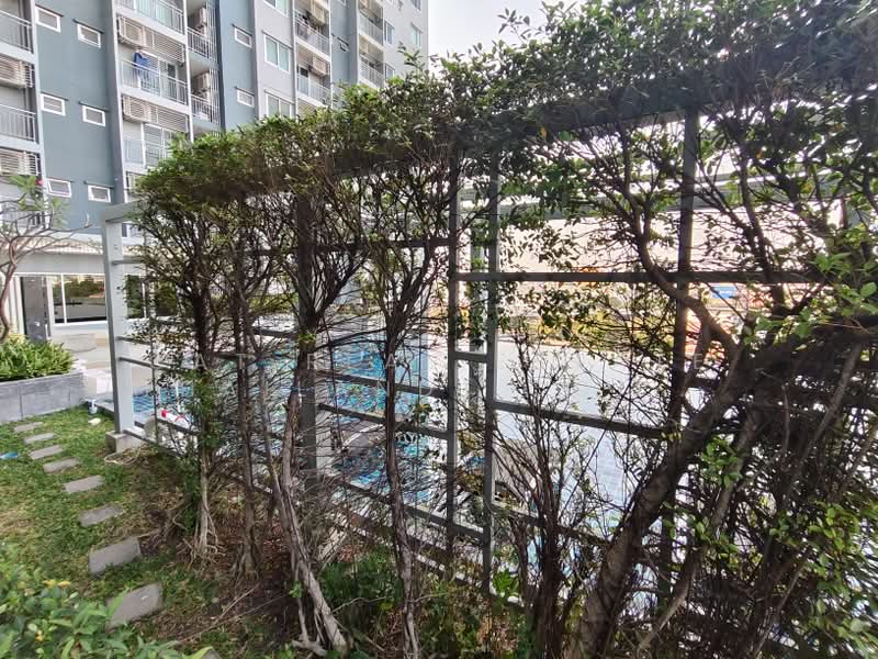 Supalai City Resort Phranangklao Station-Chaophraya, Nonthaburi, Rattanathibet Road, Bang Kra So, Muang Nonthaburi, Nonthaburi, 1 Bedroom, 32 sqm, Condo For Rent, by Cat Real Estate (Thailand) Co., Ltd., 11632204 - DDproperty.com