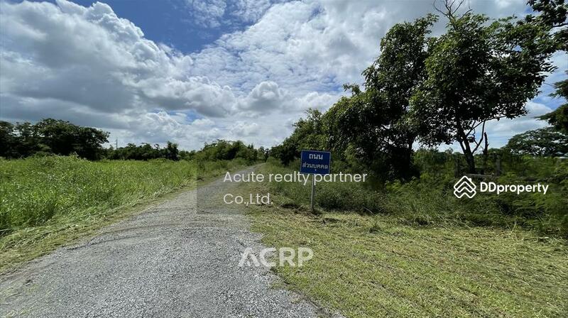 For Sale - Land for sale, 123 rai, Bang Pakong District, Chachoengsao Province., Chachoengsao
