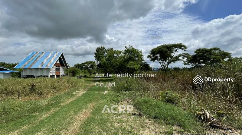 For Sale - Land for sale, 123 rai, Bang Pakong District, Chachoengsao Province., Chachoengsao