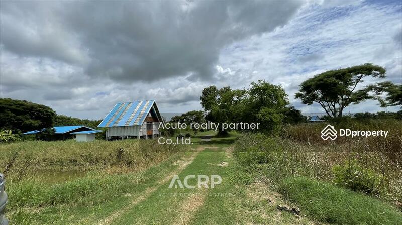 For Sale - Land for sale, 123 rai, Bang Pakong District, Chachoengsao Province., Chachoengsao