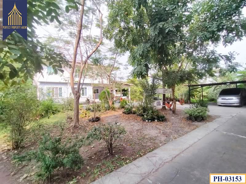 บ้านเดี่ยวสร้างเอง, Bangkok, -, Krathum Rai, Nong Chok, Bangkok, 6 Bedrooms, 300 sqm, Single Detached House For Sale, by ปภัชญา ธนัตถ์ภรณ์, 11632834 - DDproperty.com