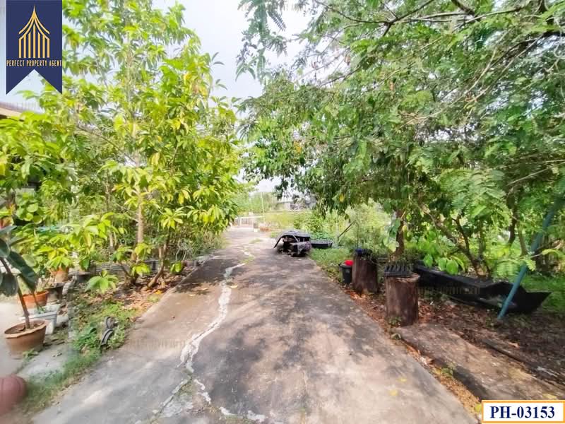 บ้านเดี่ยวสร้างเอง, กรุงเทพ, -, กระทุ่มราย, หนองจอก, กรุงเทพ, 300 ตร.ม., บ้านเดี่ยว ขาย, โดย ปภัชญา ธนัตถ์ภรณ์, 11632834 - DDproperty.com