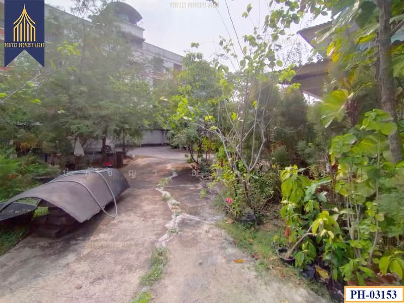 บ้านเดี่ยวสร้างเอง, กรุงเทพ, -, กระทุ่มราย, หนองจอก, กรุงเทพ, 300 ตร.ม., บ้านเดี่ยว ขาย, โดย ปภัชญา ธนัตถ์ภรณ์, 11632834 - DDproperty.com