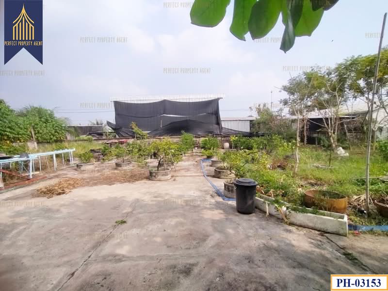 บ้านเดี่ยวสร้างเอง, Bangkok, -, Krathum Rai, Nong Chok, Bangkok, 6 Bedrooms, 300 sqm, Single Detached House For Sale, by ปภัชญา ธนัตถ์ภรณ์, 11632834 - DDproperty.com