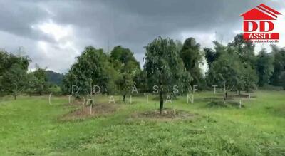 ขาย - ขายสวนทุเรียน อ.ขลุง จันทบุรี รหัส : L8019, จันทบุรี