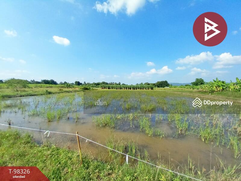 ขาย - ที่ดินด่านมะขามเตี้ย กาญจนบุรี, กาญจนบุรี