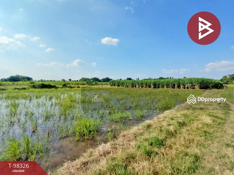 ขาย - ที่ดินด่านมะขามเตี้ย กาญจนบุรี, กาญจนบุรี