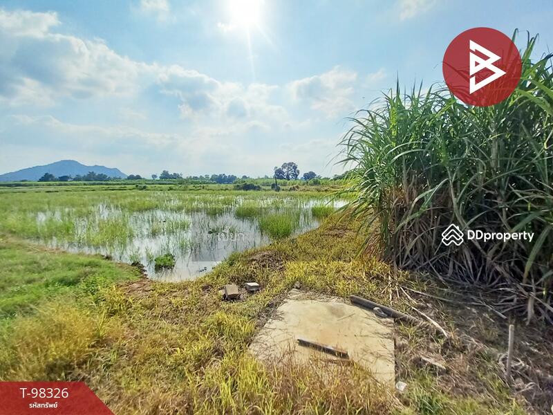 ขาย - ที่ดินด่านมะขามเตี้ย กาญจนบุรี, กาญจนบุรี