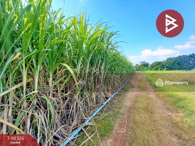 ขาย - ที่ดินด่านมะขามเตี้ย กาญจนบุรี, กาญจนบุรี