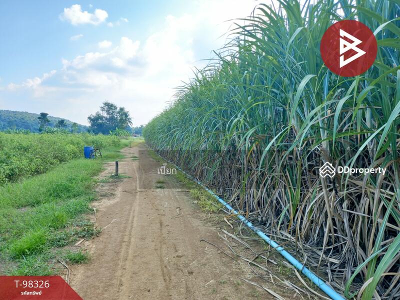 ขาย - ที่ดินด่านมะขามเตี้ย กาญจนบุรี, กาญจนบุรี