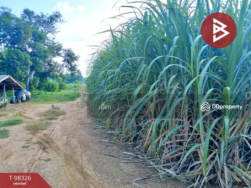 ขาย - ที่ดินด่านมะขามเตี้ย กาญจนบุรี, กาญจนบุรี