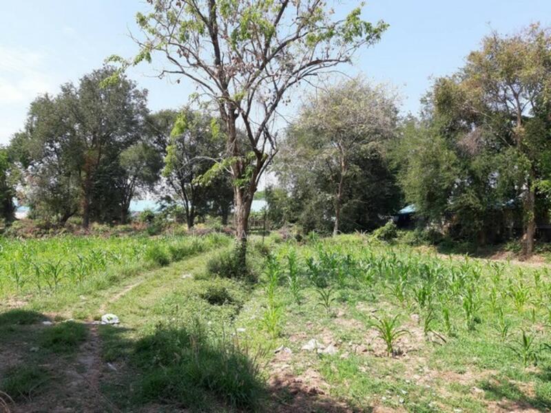 ที่ดิน 14 ไร่เศษ ใกล้ อบต.สูงเนิน นครราชสีมา (แบ่งขาย) ไร่ละ 1.5 ล้านบาท, Nakhon Ratchasima, Sung Noen, Nakhon Ratchasima, , 22,876 sqm, Land For Sale, by Nina Nick, 11633707 - DDproperty.com