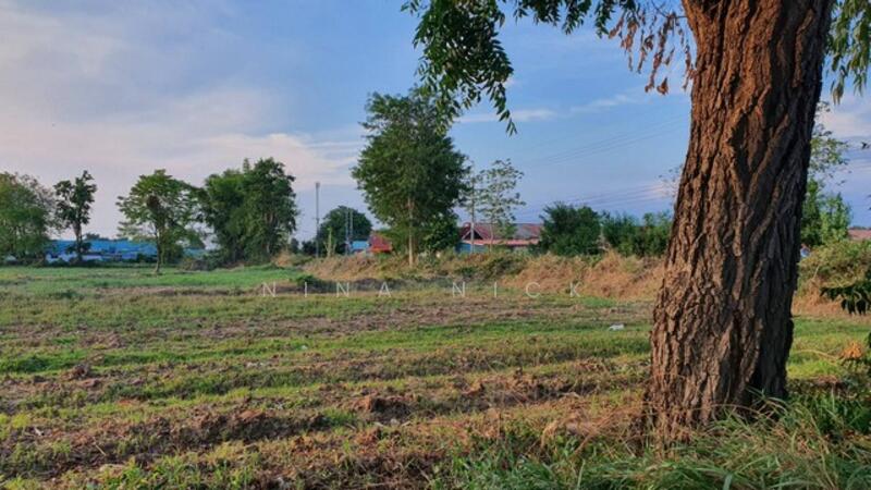 ที่ดิน 14 ไร่เศษ ใกล้ อบต.สูงเนิน นครราชสีมา (แบ่งขาย) ไร่ละ 1.5 ล้านบาท, Nakhon Ratchasima, Sung Noen, Nakhon Ratchasima, , 22,876 sqm, Land For Sale, by Nina Nick, 11633707 - DDproperty.com