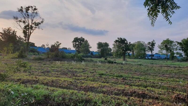 ที่ดิน 14 ไร่เศษ ใกล้ อบต.สูงเนิน นครราชสีมา (แบ่งขาย) ไร่ละ 1.5 ล้านบาท, Nakhon Ratchasima, Sung Noen, Nakhon Ratchasima, , 22,876 sqm, Land For Sale, by Nina Nick, 11633707 - DDproperty.com