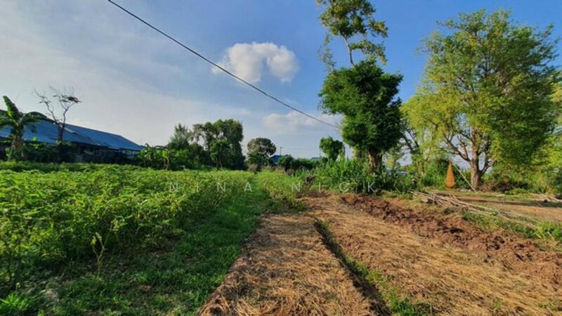ที่ดิน 14 ไร่เศษ ใกล้ อบต.สูงเนิน นครราชสีมา (แบ่งขาย) ไร่ละ 1.5 ล้านบาท, Nakhon Ratchasima, Sung Noen, Nakhon Ratchasima, , 22,876 sqm, Land For Sale, by Nina Nick, 11633707 - DDproperty.com