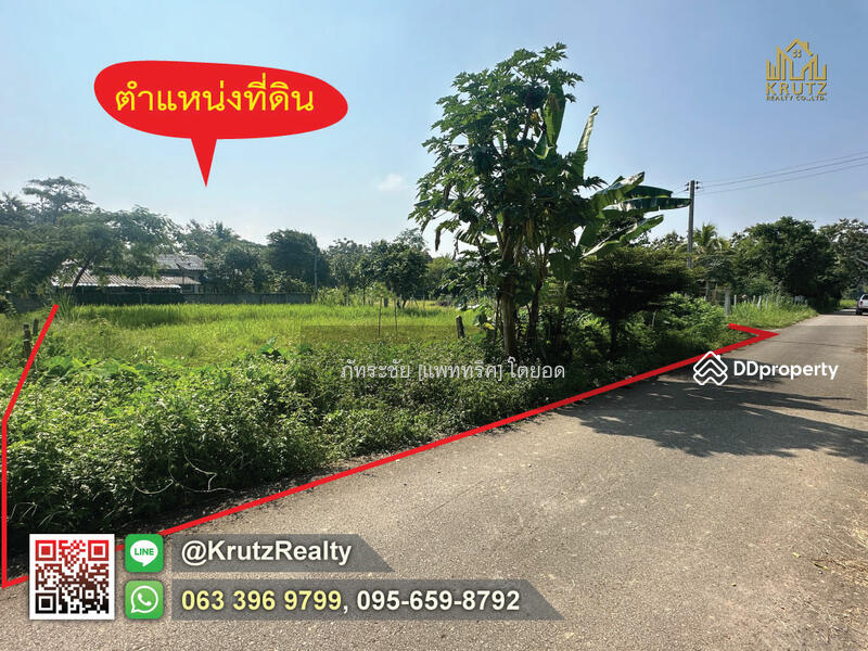 For Sale - Land for sale, 166 square wah, Doi Saket, Chiang Mai KRSC55021, Chiang Mai