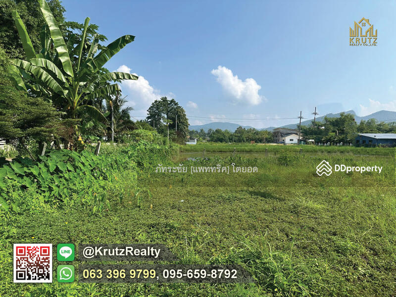 For Sale - Land for sale, 166 square wah, Doi Saket, Chiang Mai KRSC55021, Chiang Mai