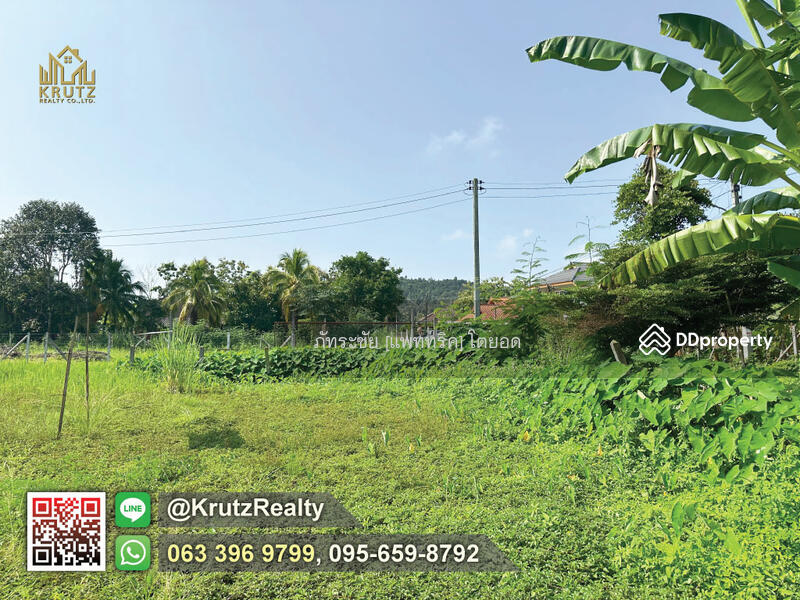 For Sale - Land for sale, 166 square wah, Doi Saket, Chiang Mai KRSC55021, Chiang Mai
