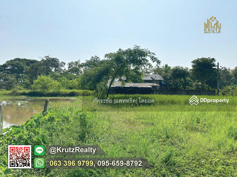 For Sale - Land for sale, 166 square wah, Doi Saket, Chiang Mai KRSC55021, Chiang Mai