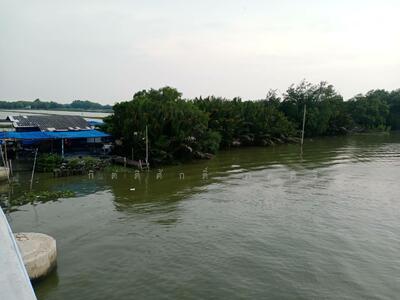 ขาย - ที่ดิน 1 ไร่ 3 งาน ริมคลองสรรพสามิต, สมุทรปราการ