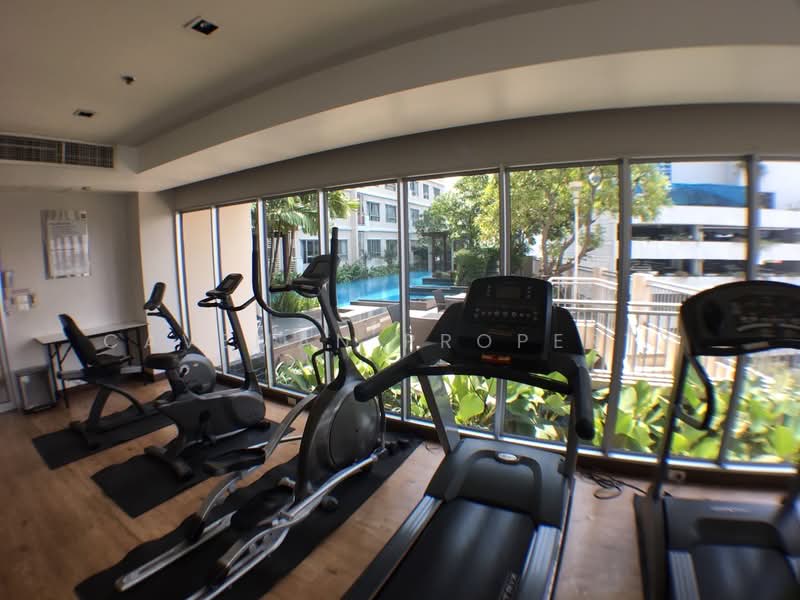 Condo One X Sukhumvit 26, Bangkok, Soi Sukhumvit 26, Sukhumvit Road, Khong Tan, Khlong Toei, Bangkok, 1 Bedroom, 51 sqm, Condo For Rent, by Caveman Property, 11635696 - DDproperty.com