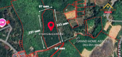 ขาย - ที่ดินพร้อมสวนปาล์ม อำเภอถลาง จ.ภูเก็ต, ภูเก็ต