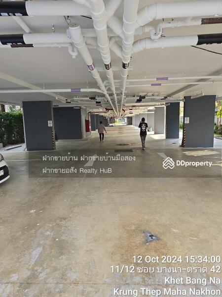 ให้เช่า - Cerocco Bangna 36 : ซีรอคโค บางนา 36, กรุงเทพ