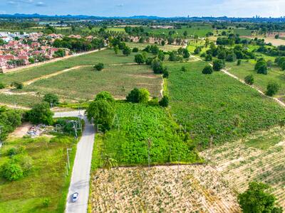 ขาย - หนองปลาไหล บางละมุง ชลบุรี, ชลบุรี