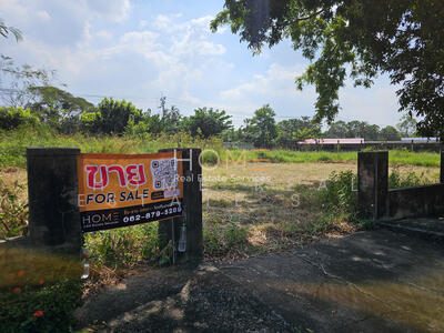 ขาย - ที่ดิน ปัญญาอินทรา พี.9 : Land Panya Indra P.9, กรุงเทพ