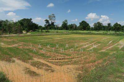 ขาย - (รหัสทรัพย์สิน 1-1-มห.-112) ต.บางทรายใหญ่ อ.เมืองมุกดาหาร จ.มุกดาหาร, มุกดาหาร