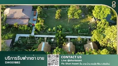 ขาย - ช้างเผือก, เชียงใหม่