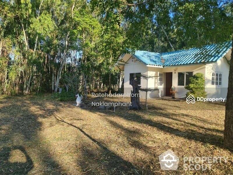 For Sale - Rai Kao, Prachuap Khiri Khan