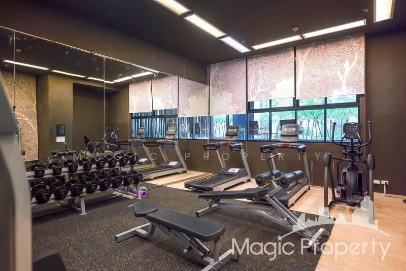 Noble Reveal, Bangkok, 36 Soi Sukhumvit 63, Ekamai Road, Phra Kanong Nua, Watthana, Bangkok, 1 Bedroom, 51 sqm, Condo For Rent, by Magic Property, 11645967 - DDproperty.com