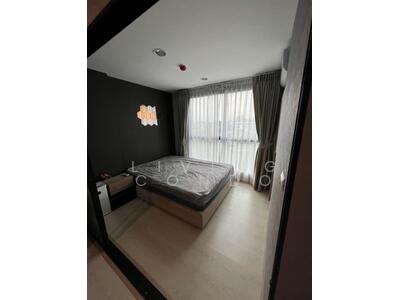 ขาย - The Excel Groove Lasalle 52 : ดิ เอ็กซ์เซล กรูฟ ลาซาล 52, กรุงเทพ